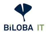 Biloba IT Balleyer & Lohrmann GbR